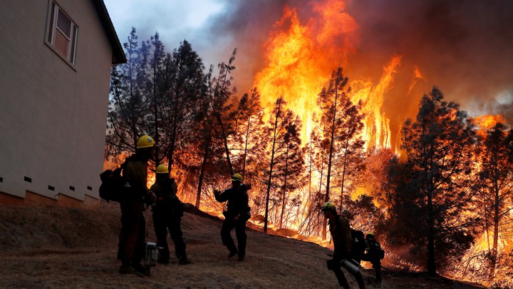 FIREFIGHTERS