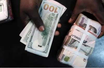 Naira in free fall exchanges at N600 against U.S.D1