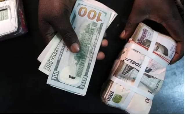 Naira in free fall exchanges at N600 against U.S.D1