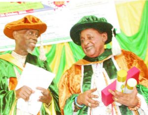 How I informed Alaafin of his nomination in 1970-Ajibola