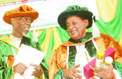How I informed Alaafin of his nomination in 1970-Ajibola