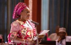 Head of Civil Service of the Federation, Dr Folasade Yemi-Esan